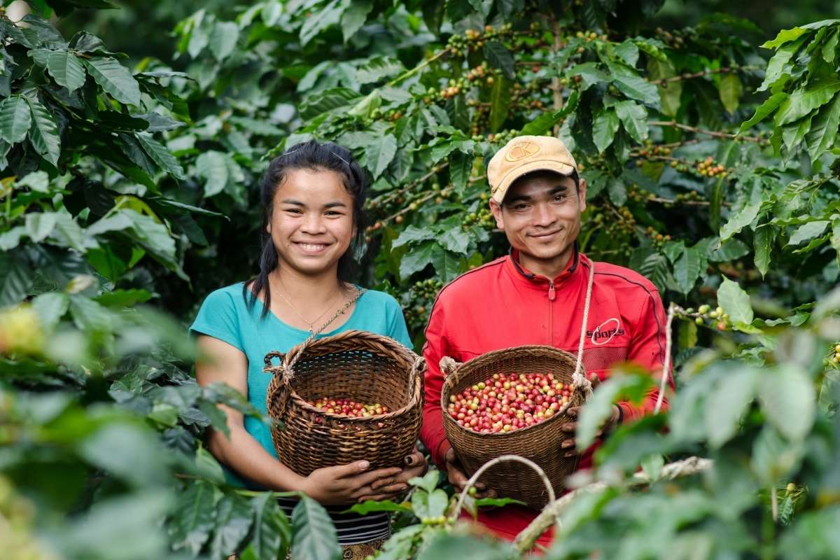 Ethical Sourcing