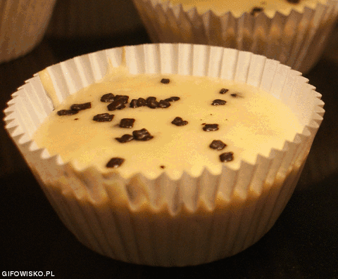 Choco Chip Muffin